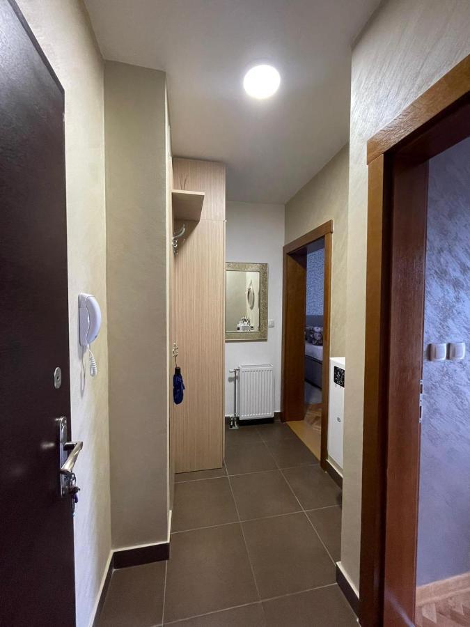 Apartman Miniki Vrnjačka Banja Exterior foto